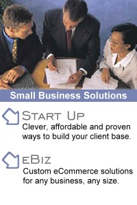 Internet Solutions for Business